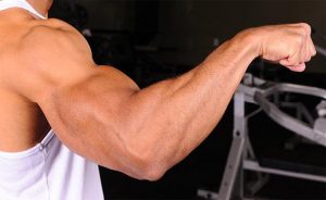 best forearm exercises
