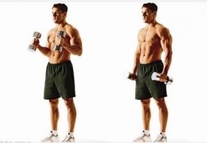 dumbbell workouts