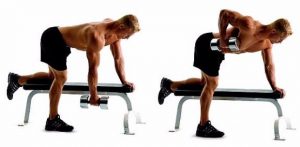 dumbbell workout plan