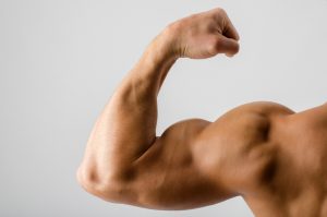 train biceps