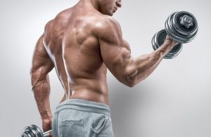 how to pump biceps